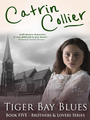 cover image of Tiger Bay Blues